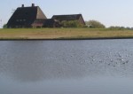 hallig